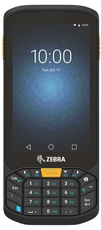 Zebra